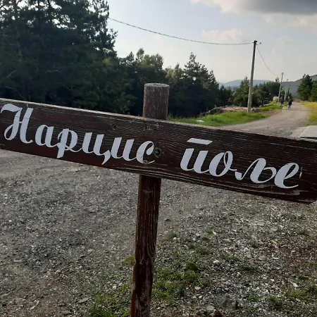 Apartament Narcis Polje *