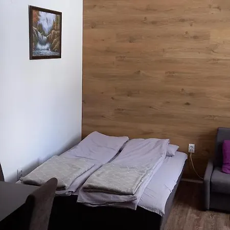 Narcis Polje 2 * Divcibare