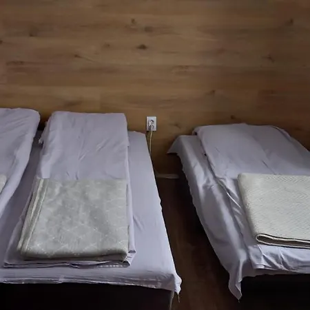 Narcis Polje Divčibare