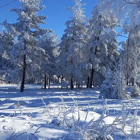 Apartament Narcis Polje