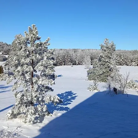 Narcis Polje Apartament *
