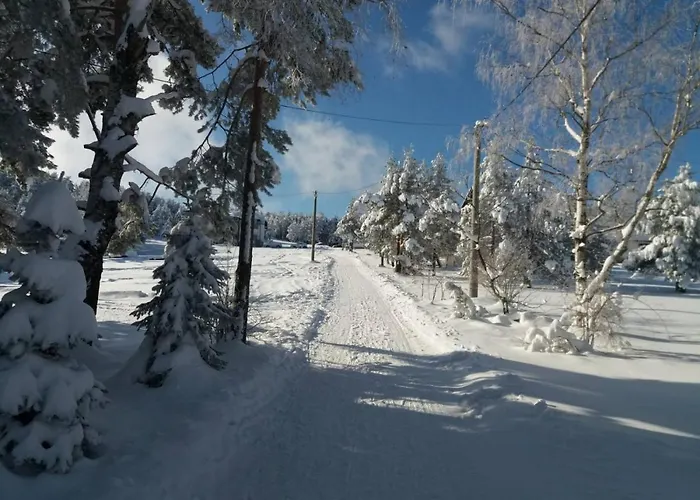 Narcis Polje アパート Divčibare