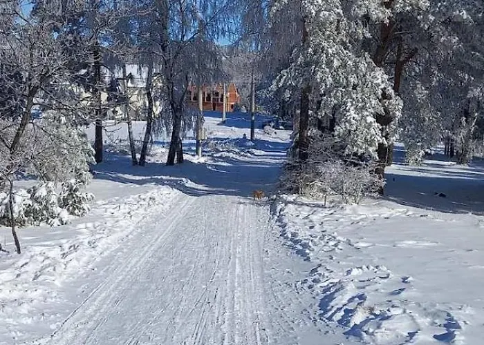 アパート Narcis Polje Divčibare