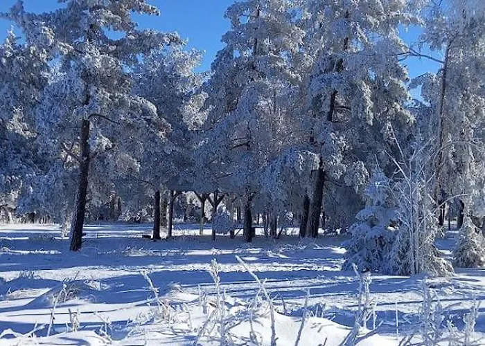 アパート Narcis Polje