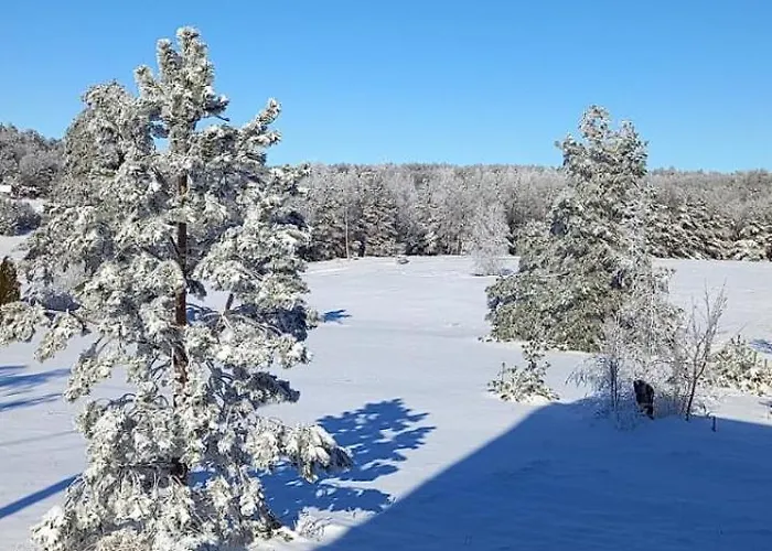 Narcis Polje アパート *